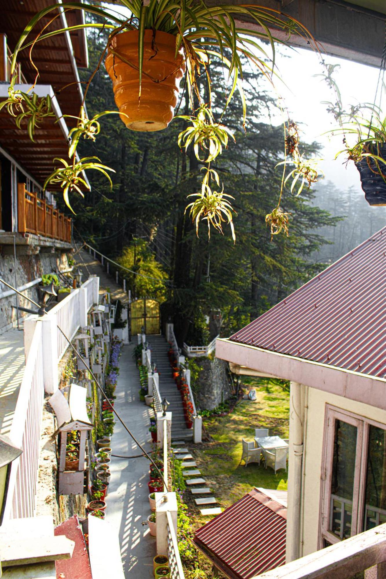Whispering Pines Shimla Exterior photo
